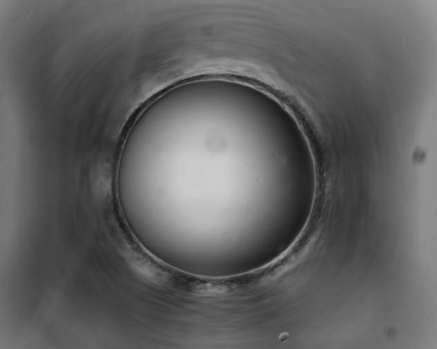 X0000102221505200807251158