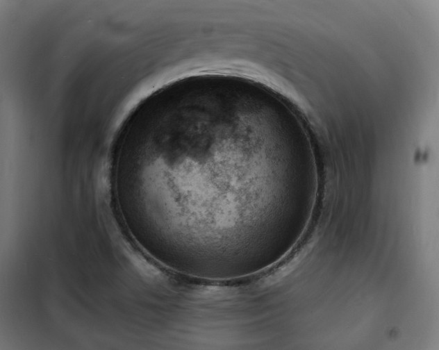 X0000102221506200807251158