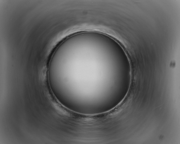 X0000102221507200807251158