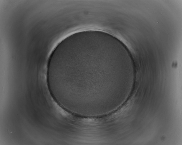 X0000102221508200807251158