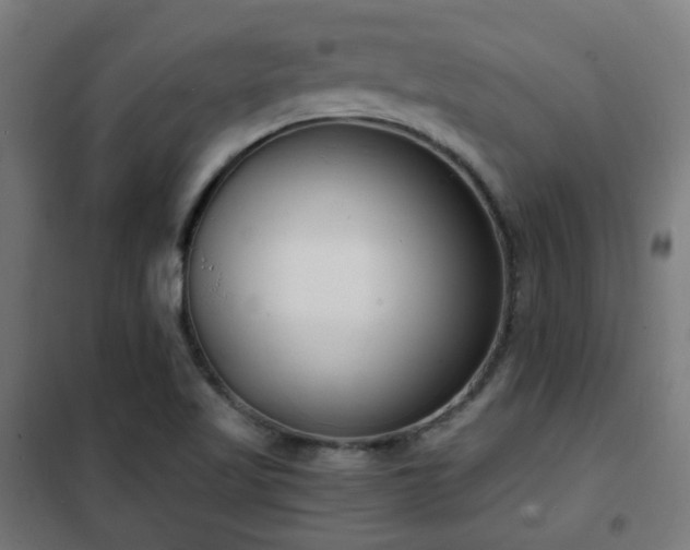 X0000102221509200807251158