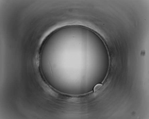 X0000102221510200807251158