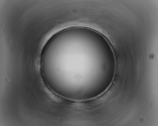 X0000102221511200807251158