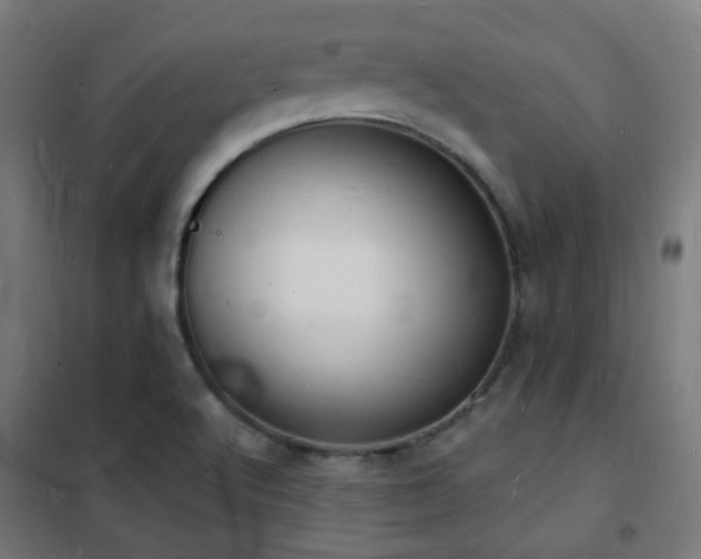 X0000102221512200807251158