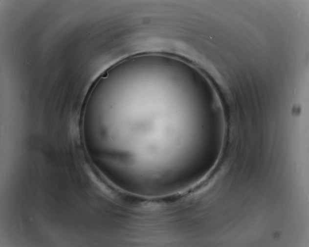 X0000102221513200807251158