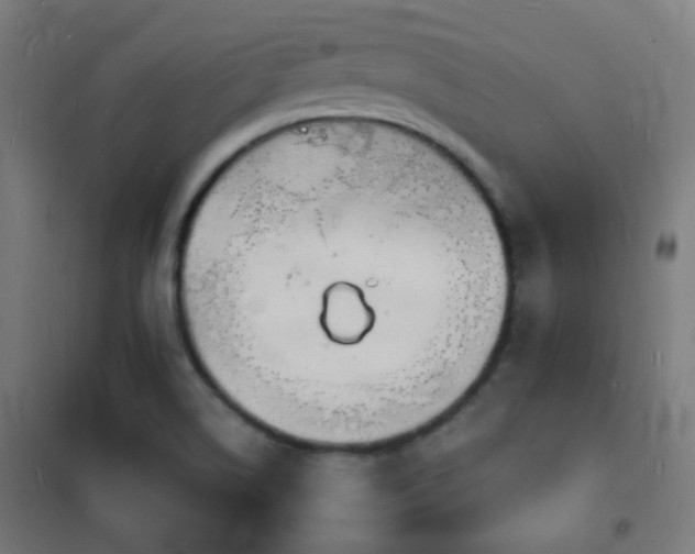 X0000102221514200807251158