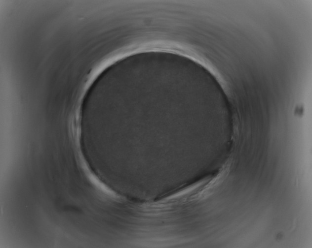 X0000102221515200807251158