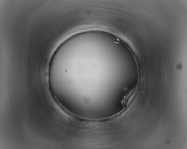 X0000102221516200807251158
