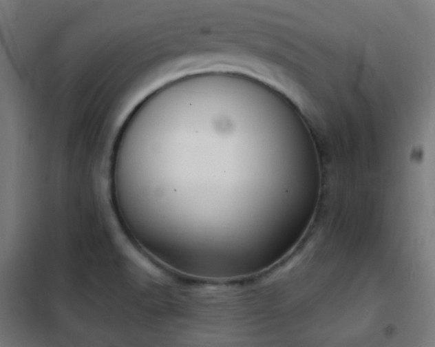 X0000102221518200807251158
