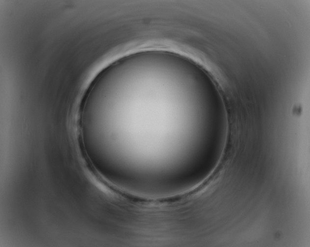 X0000102221519200807251158