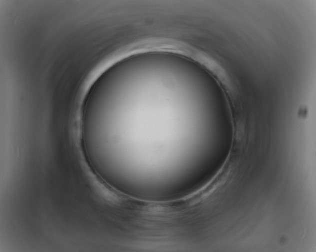 X0000102221520200807251158