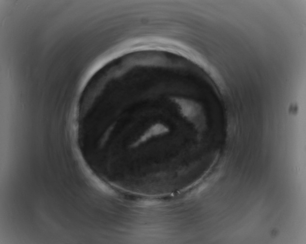 X0000102221522200807251158