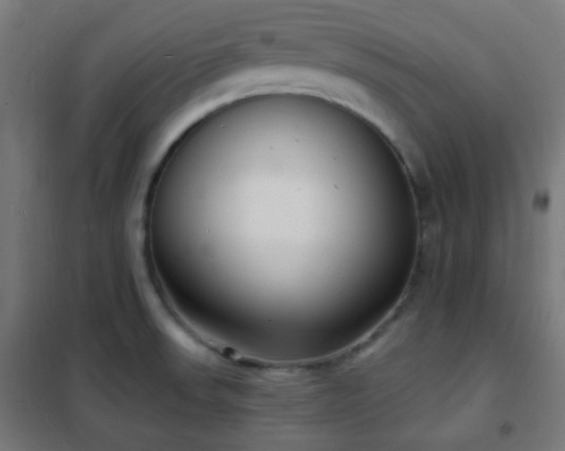 X0000102221523200807251158