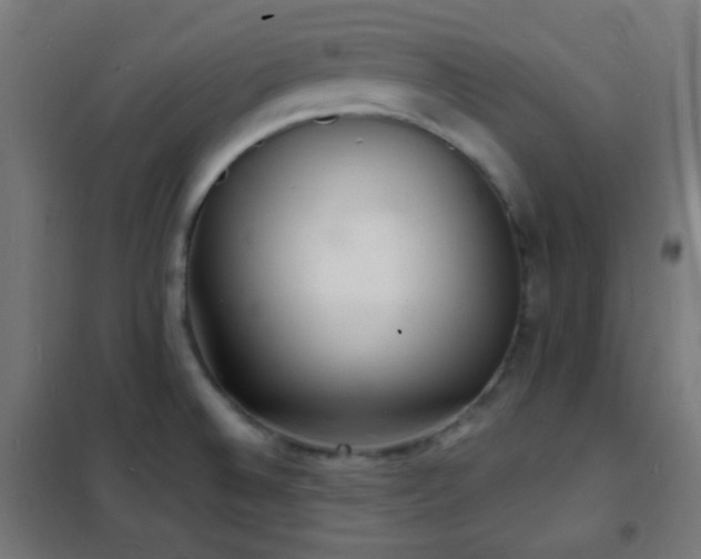 X0000102221524200807251158