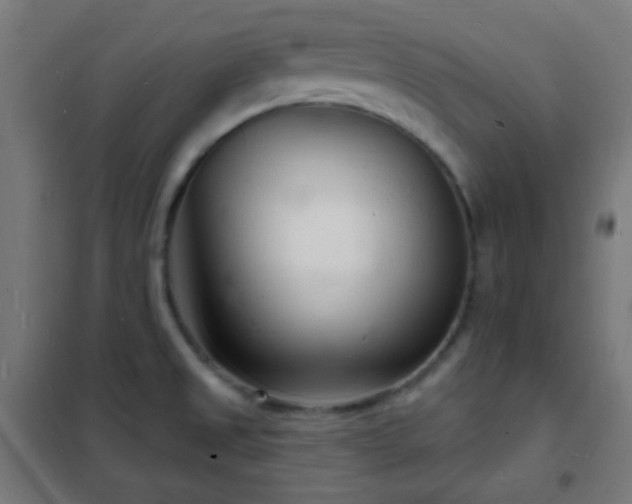 X0000102221525200807251158