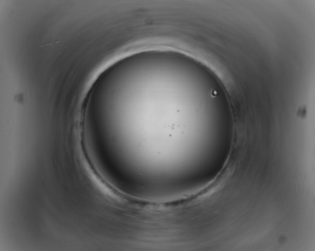 X0000102221526200807251158