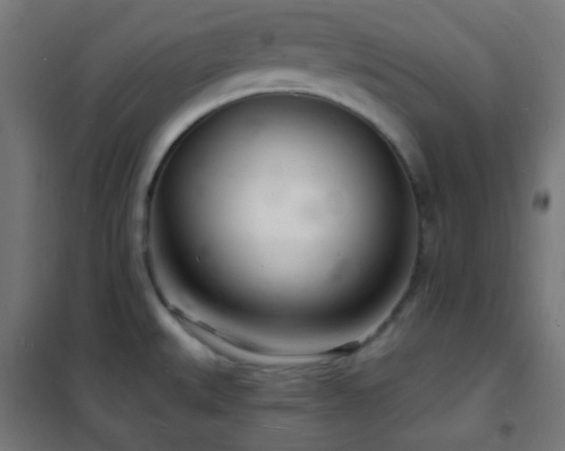 X0000102221527200807251158