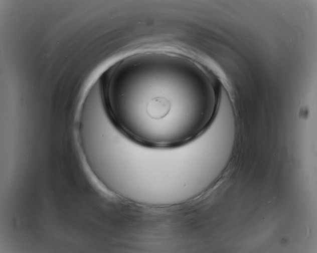 X0000102221528200807251158