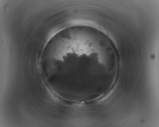 X0000102221529200807251158