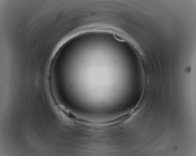 X0000102221530200807251158