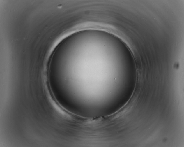 X0000102221531200807251158
