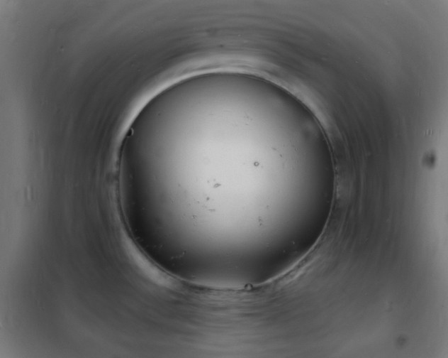 X0000102221532200807251158