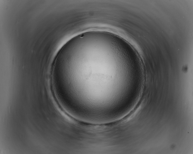 X0000102221533200807251158