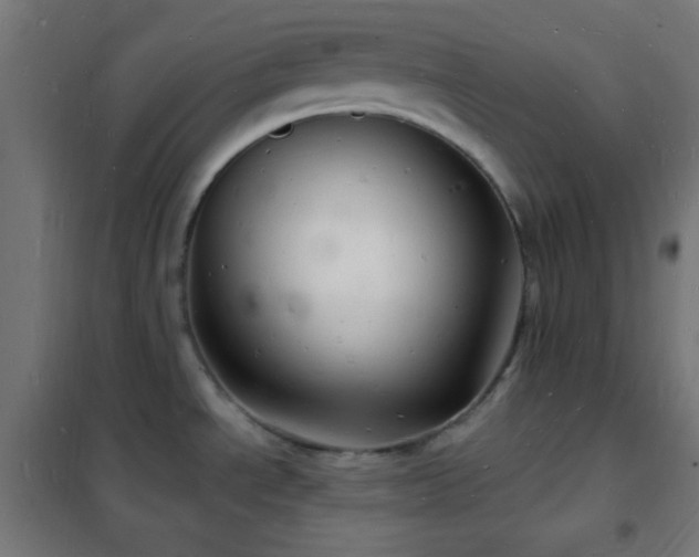 X0000102221534200807251158
