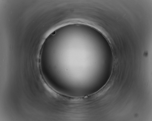 X0000102221535200807251158