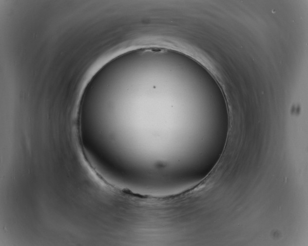 X0000102221536200807251158