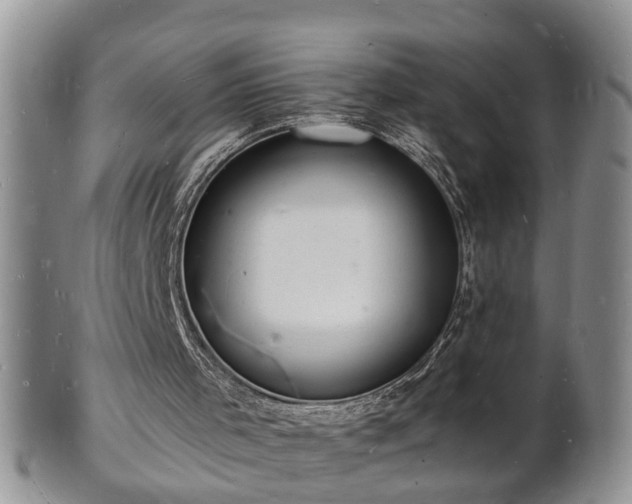 X0000102220001200808011213