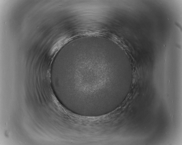 X0000102220002200808011213