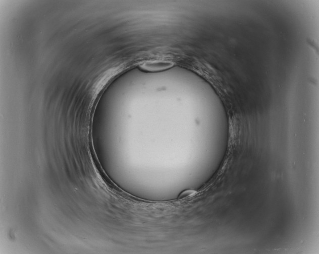 X0000102220003200808011213