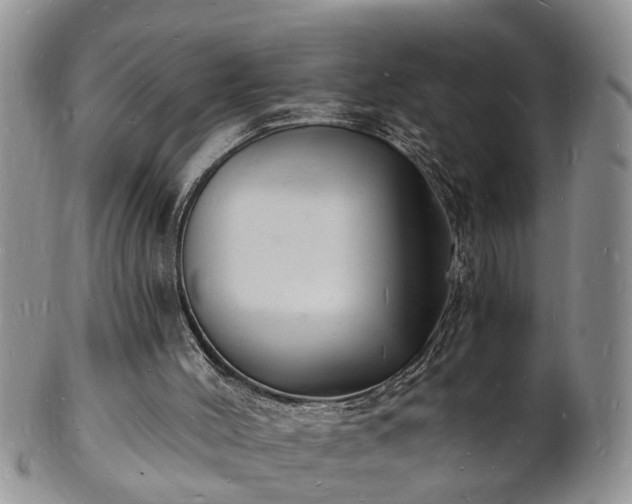 X0000102220004200808011213