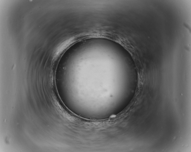 X0000102220005200808011213