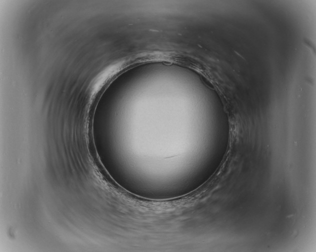 X0000102220006200808011213