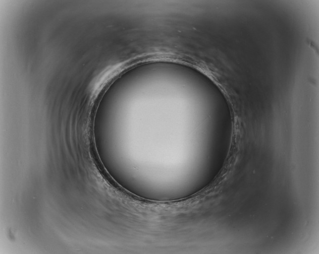 X0000102220007200808011213