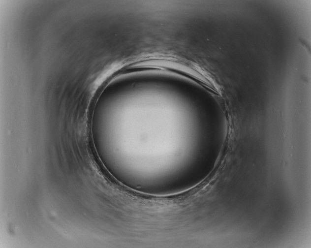 X0000102220008200808011213