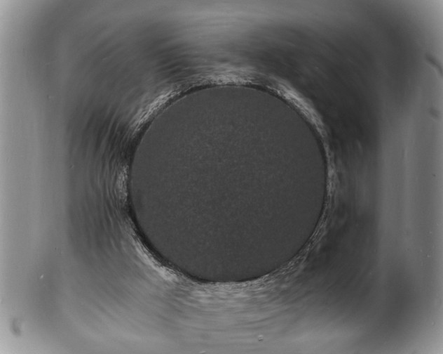 X0000102220009200808011213