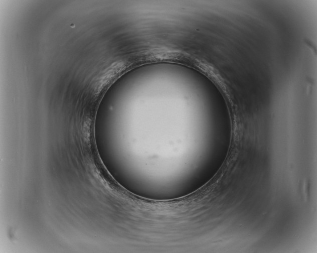 X0000102220010200808011213