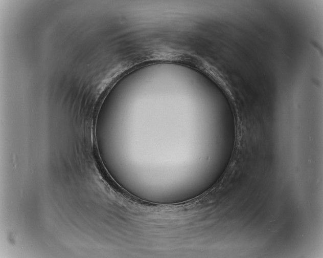 X0000102220011200808011213