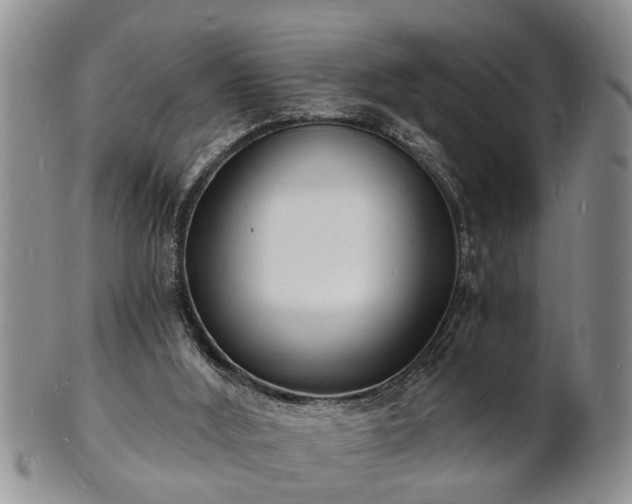 X0000102220012200808011213