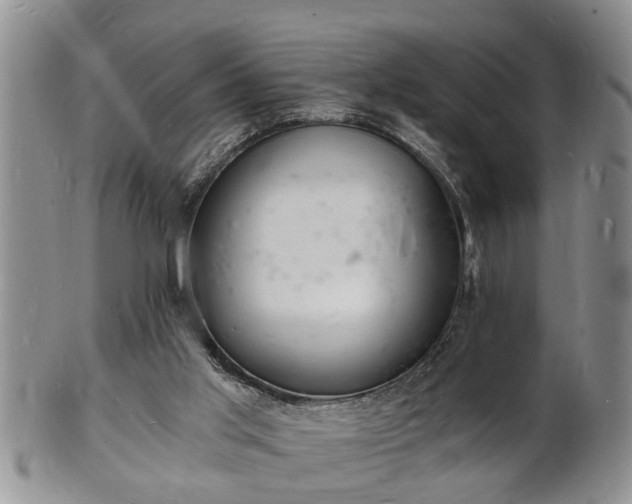 X0000102220013200808011213