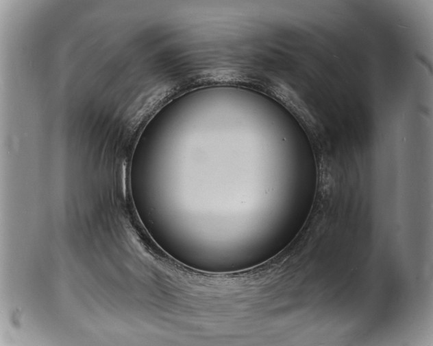 X0000102220014200808011213