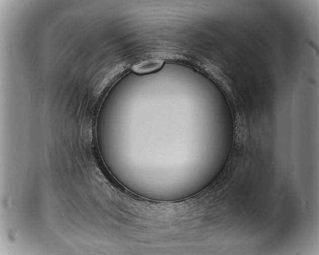 X0000102220015200808011213