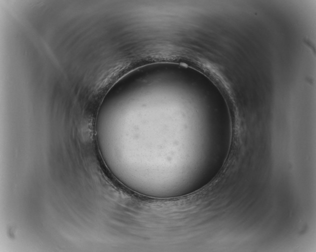 X0000102220017200808011213