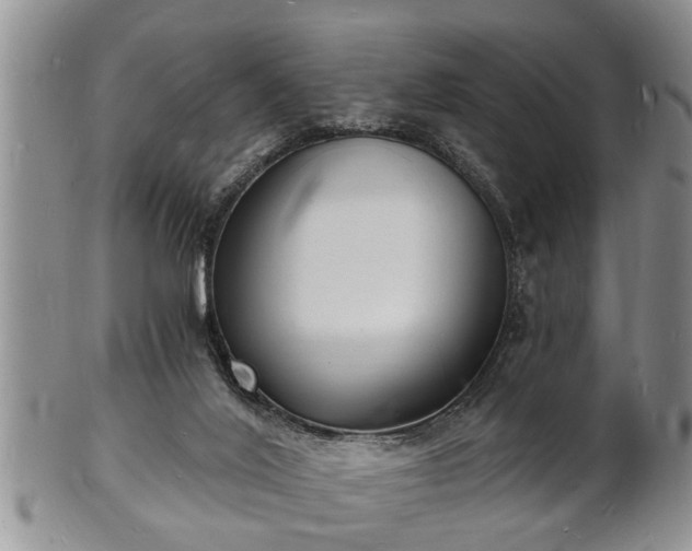 X0000102220020200808011213