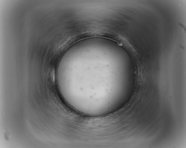 X0000102220021200808011213