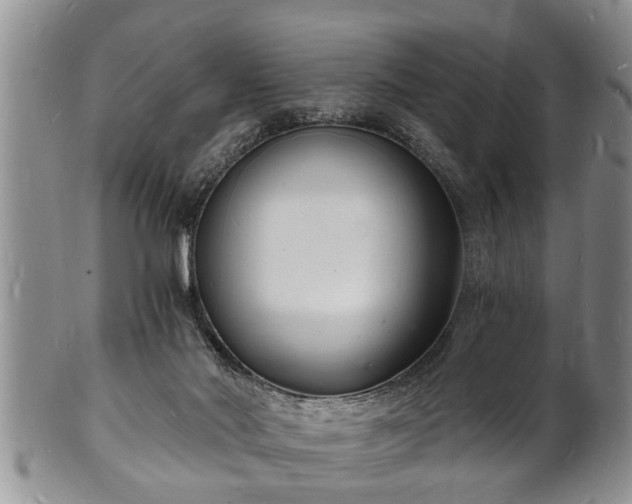 X0000102220022200808011213