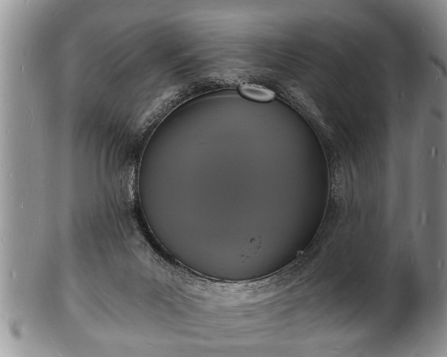 X0000102220023200808011213